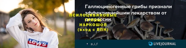 сатива Армянск
