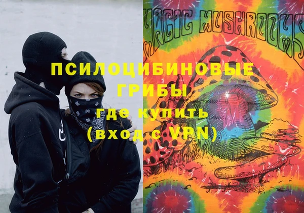 сатива Армянск