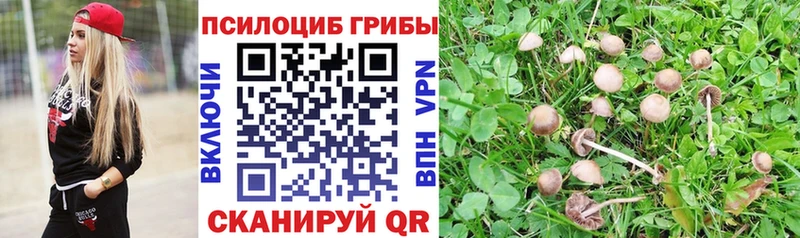 закладки Рыльск OMG ONION Псилоцибиновые грибы мицелий